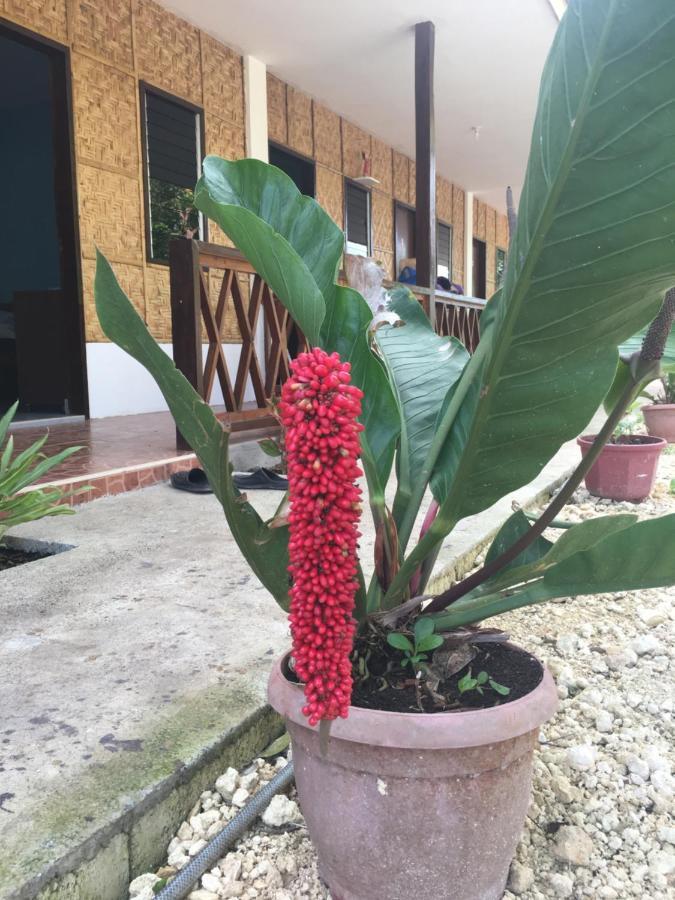 Panglao Rainbow Inn Tagbilaran Extérieur photo